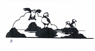 Puffins weathervane